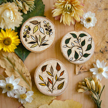 Load image into Gallery viewer, The Herbalist - Wooden Amulet Pack