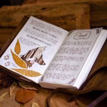 Load image into Gallery viewer, Wild Coyote - ACEO Mini Print