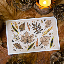 Load image into Gallery viewer, Autumn Leaves - Art Print