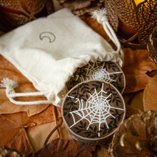 Load image into Gallery viewer, Spiderweb Yes/No Coins - Illustrated Divination Set
